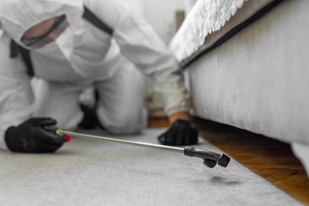 Professional Cockroach Control technician working in Hemet, CA