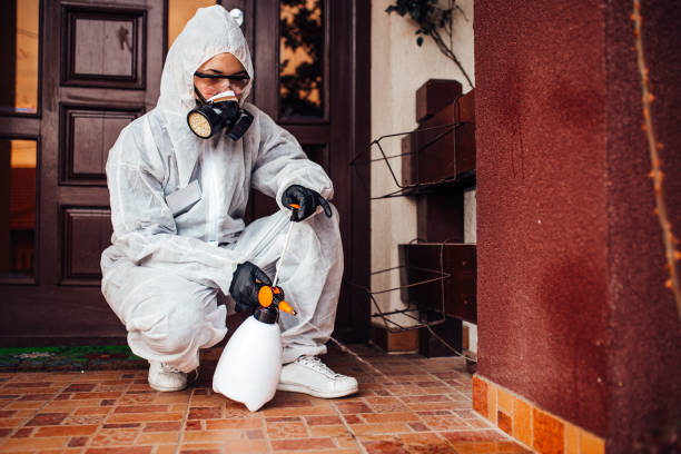 Reliable Cockroach Control contractor in Hemet, CA by Nex Pest Control